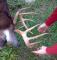 10 point