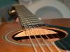68FG_Fret1.jpg 2.5K