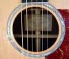 Taylor810ce13.jpg 3.1K