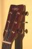 headFront1.jpg 2.1K